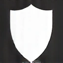 Icon representing overall health support