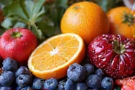 Illustration of various colorful fruits and berries